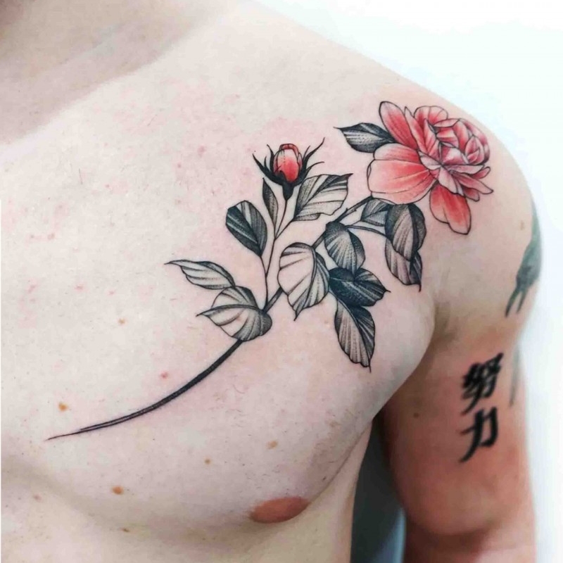 Rosa.